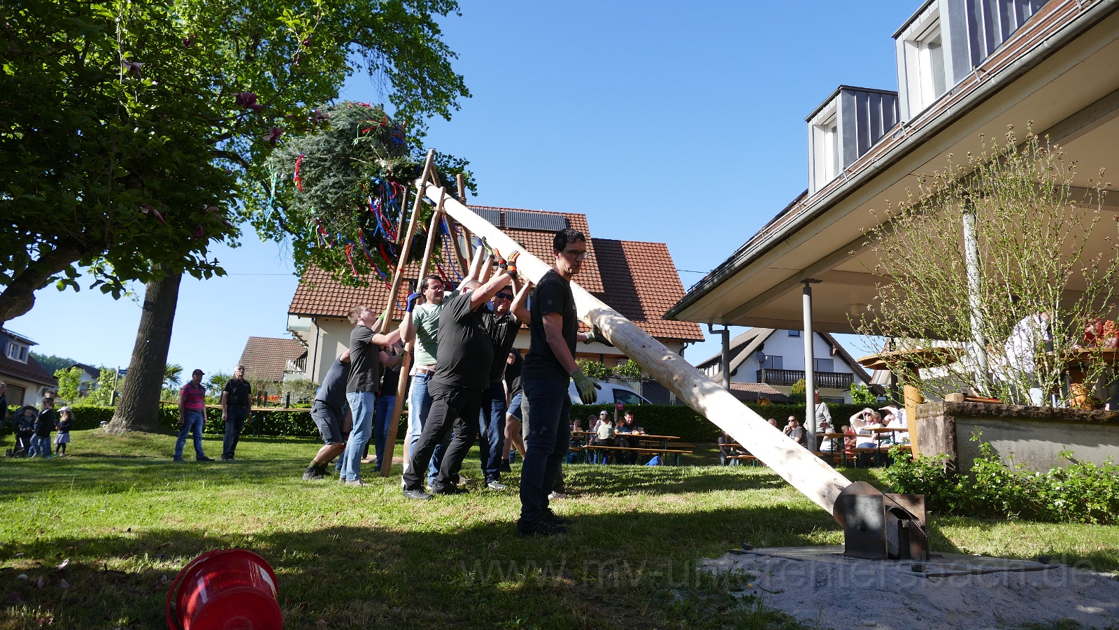 2026-04 Maibaum stellen Unterentersbach (2).JPG